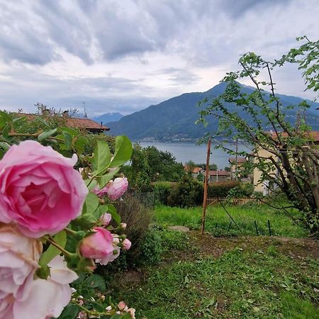 Villetta Con Giardino Privato كريميا المظهر الخارجي الصورة